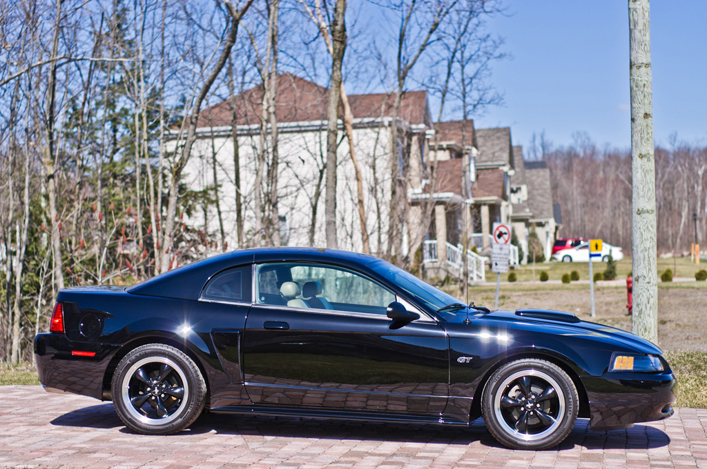 MustangGT01.jpg