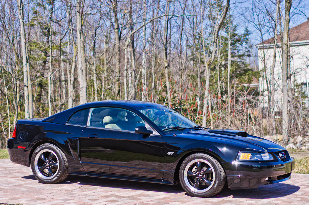 MustangGT02.jpg