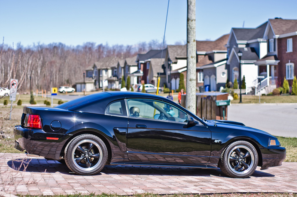 MustangGT07.jpg