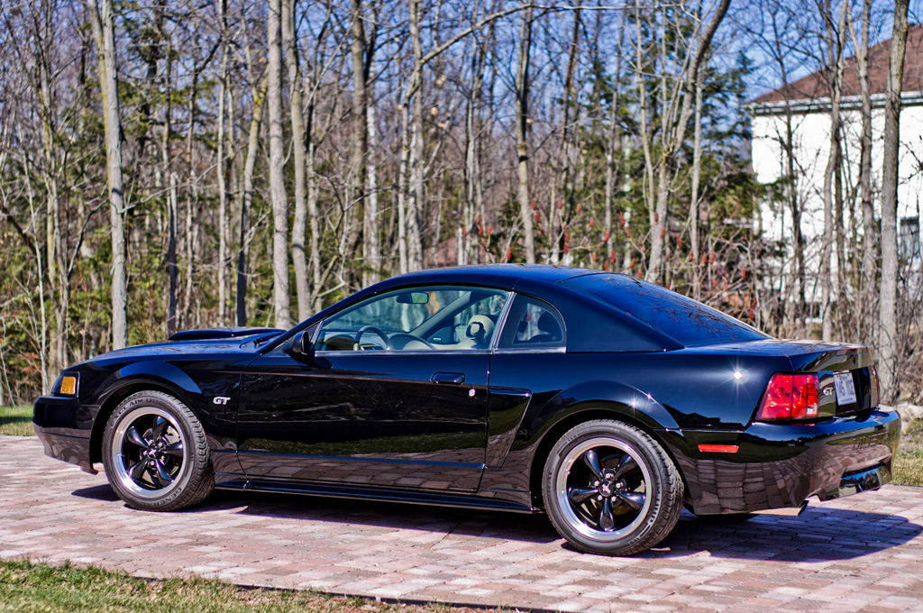 MustangGT18.jpg