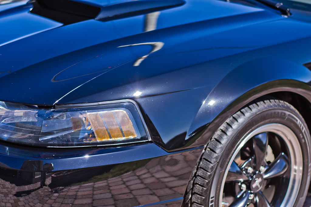 MustangGT19.jpg