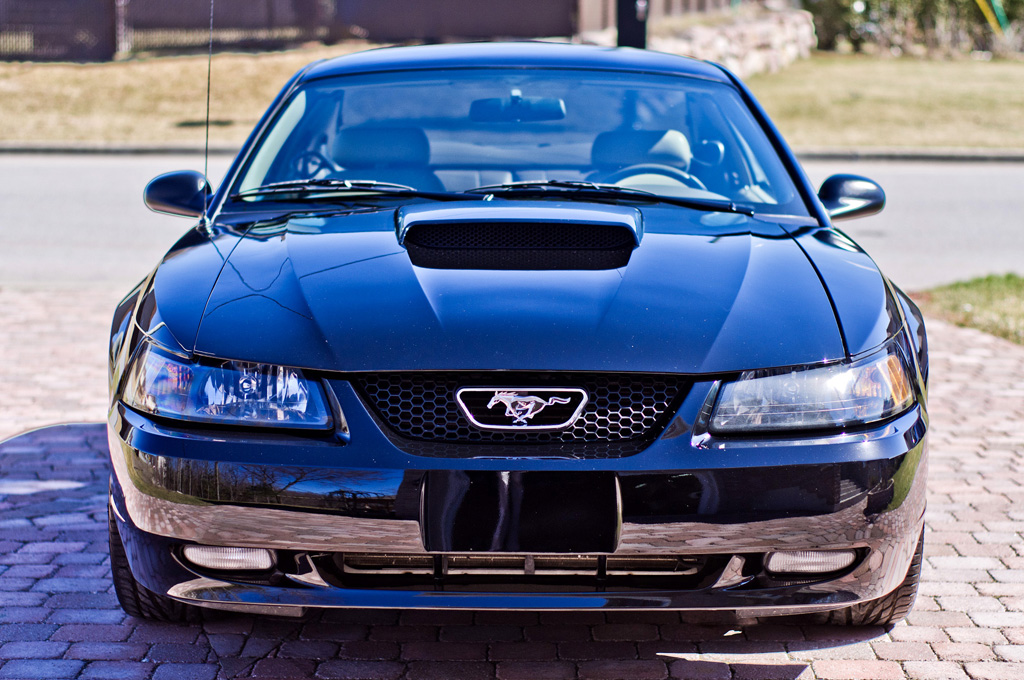 MustangGT21.jpg