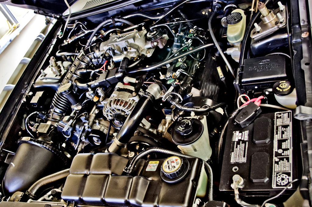 MustangGT23.jpg